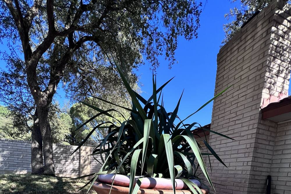 Photo of Outdoor in Odessa