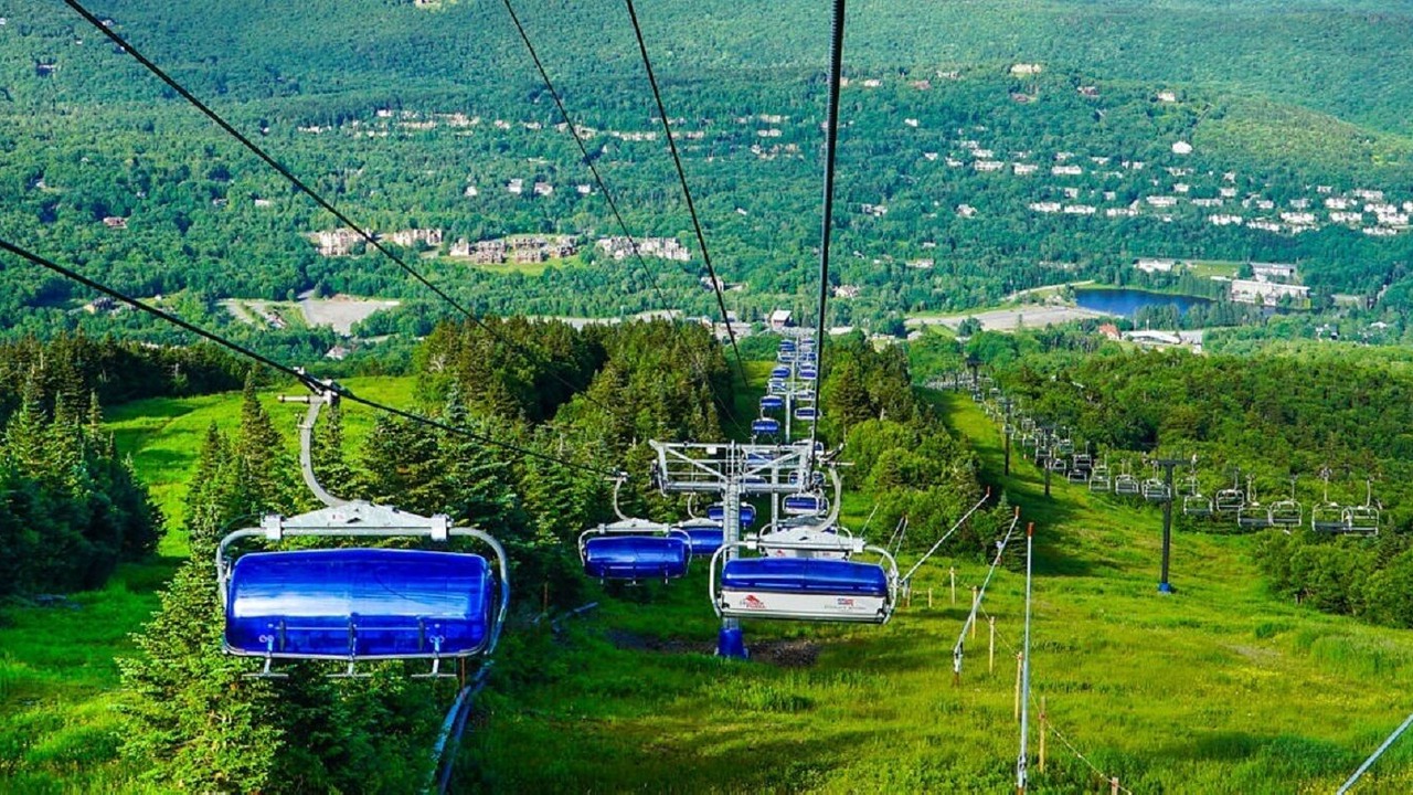 Photo of Others in East Dover