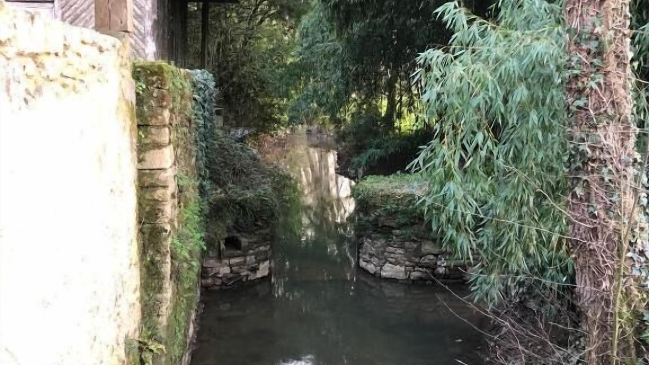 Photo of Outdoor in Saint-Sulpice-en-Pareds