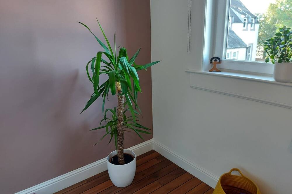 Photo of Others in Tillicoultry