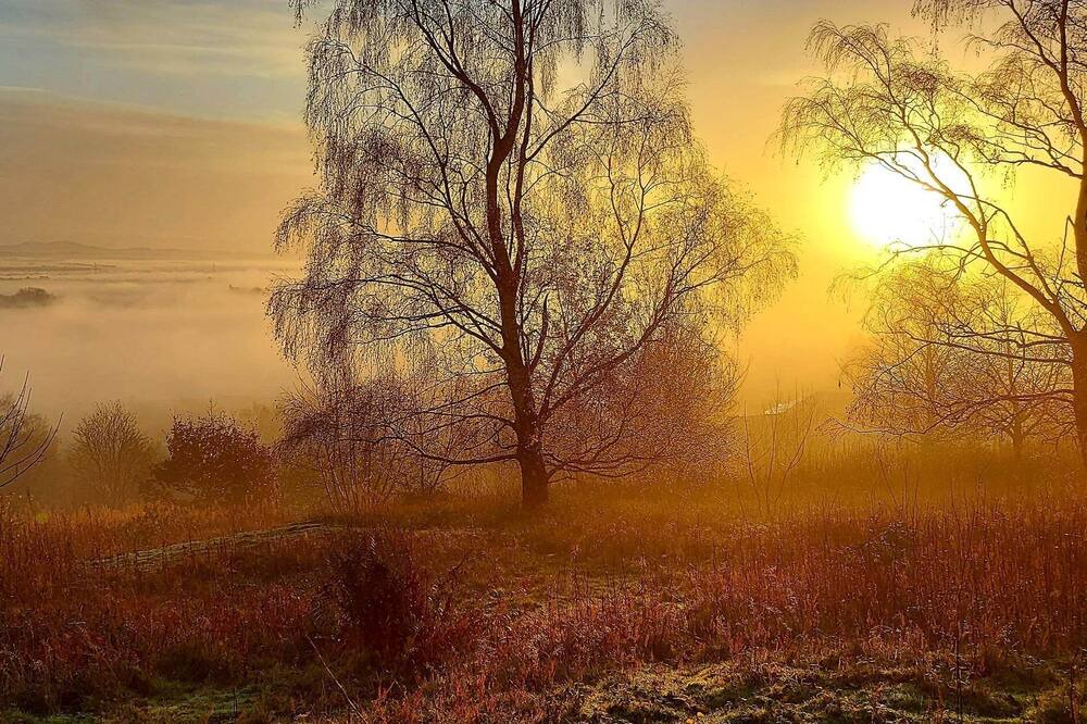 Photo of Outdoor in Tillicoultry
