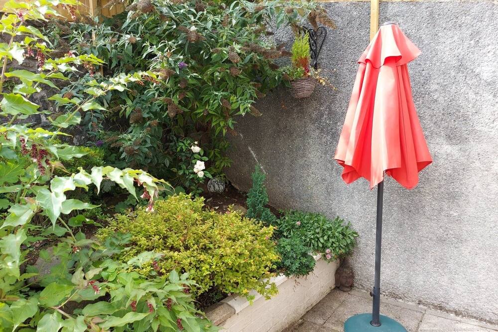 Photo of Outdoor in Tillicoultry