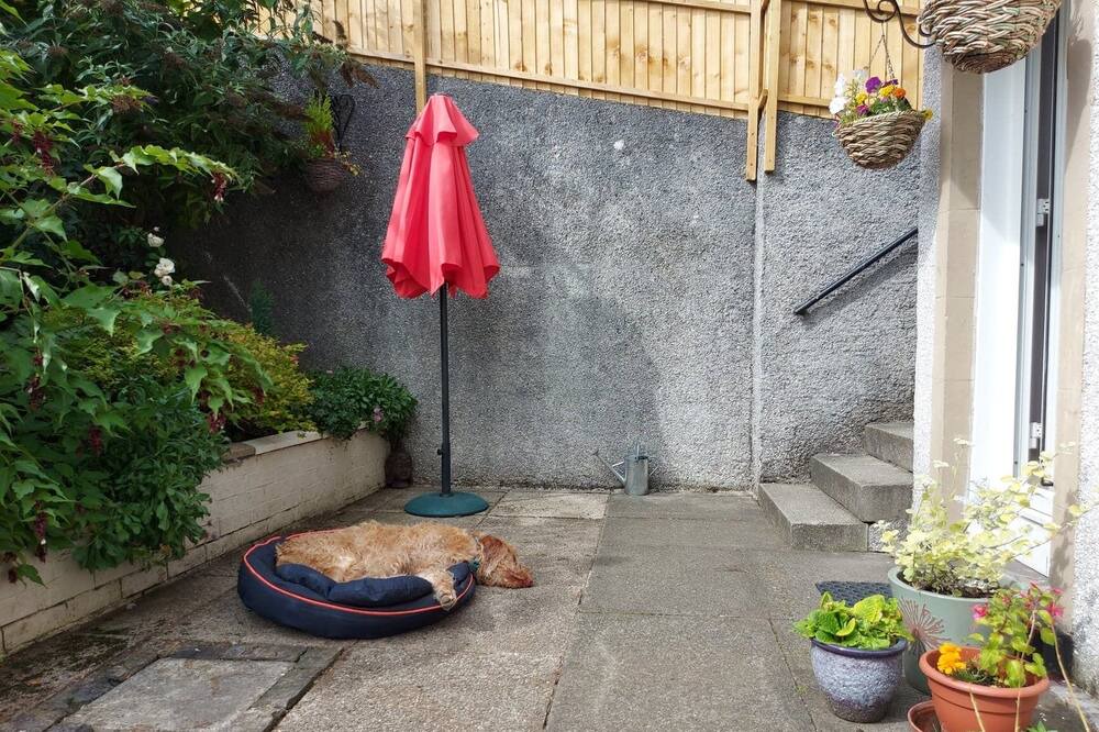 Photo of Others in Tillicoultry