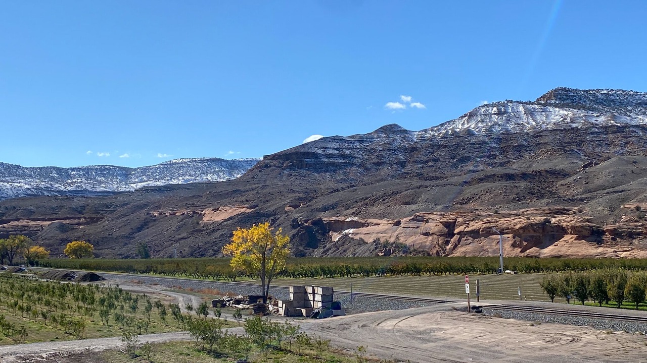 Photo of Outdoor in Delta