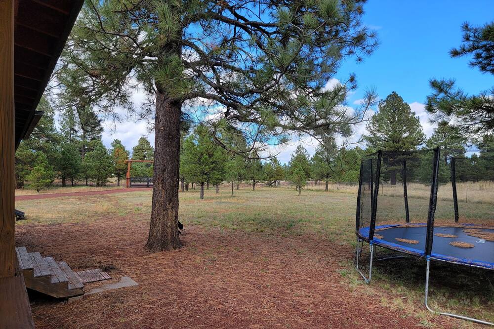 Photo of Others in Parks
