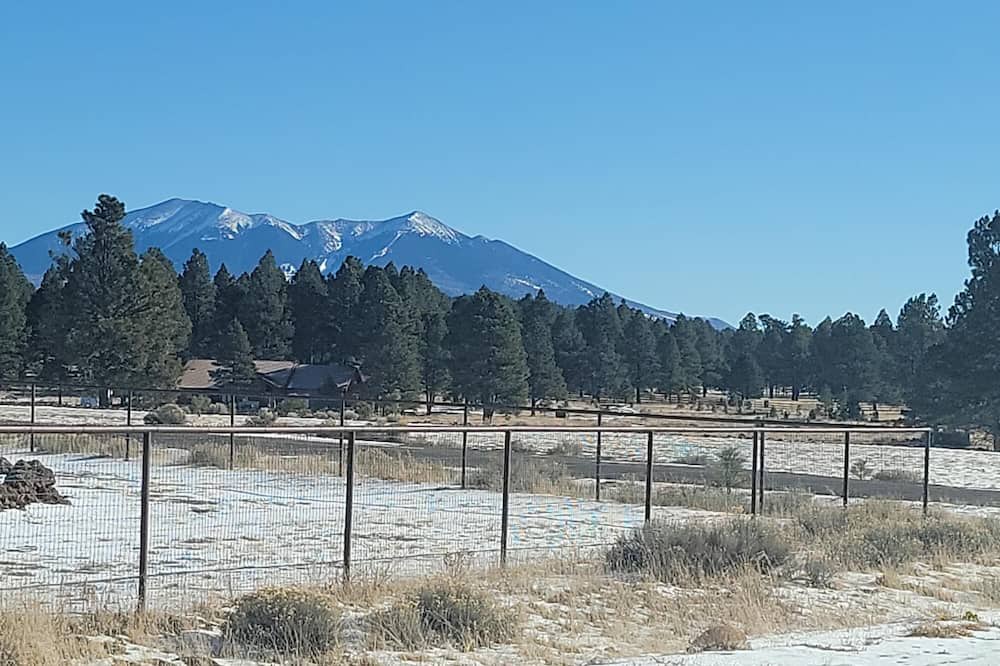 Photo of Others in Parks