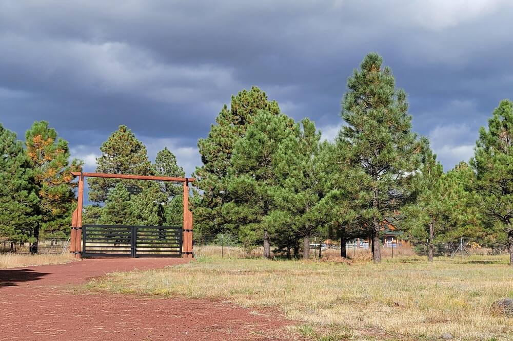 Photo of Others in Parks