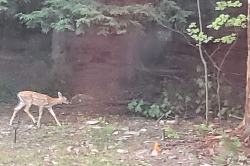 Photo of Others in Mountain Top