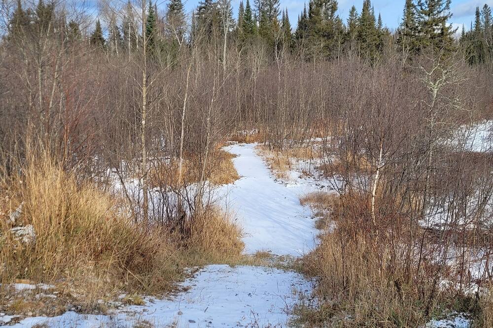 Photo of Others in Searchmont
