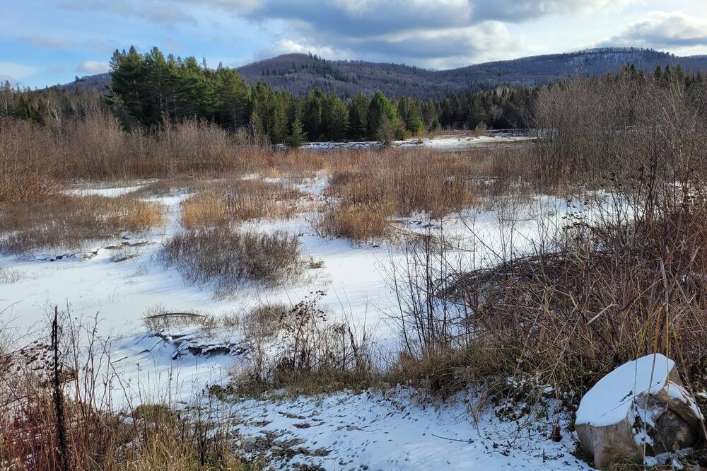 Photo of Others in Searchmont