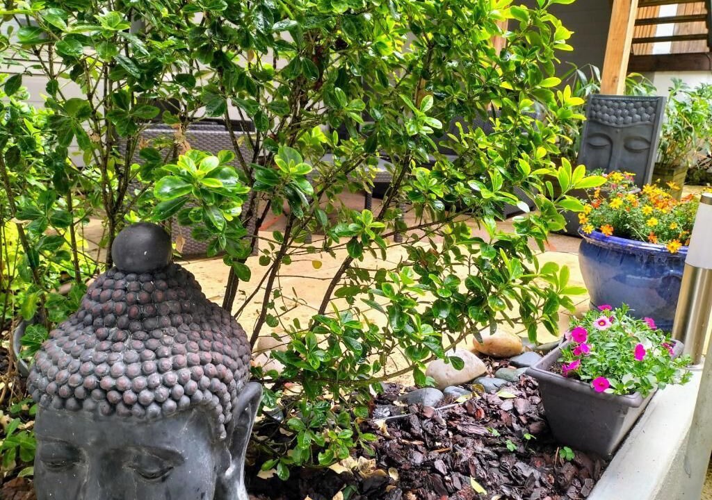 Photo of Outdoor in Bourbonne-les-Bains