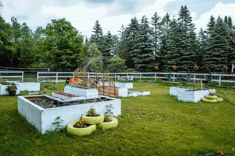 Photo of Others in East Gwillimbury