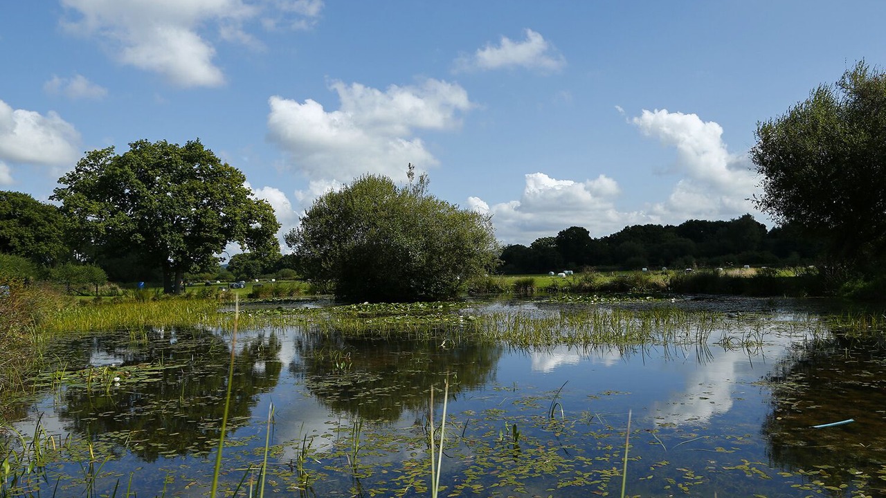 Photo of Others in Teigngrace