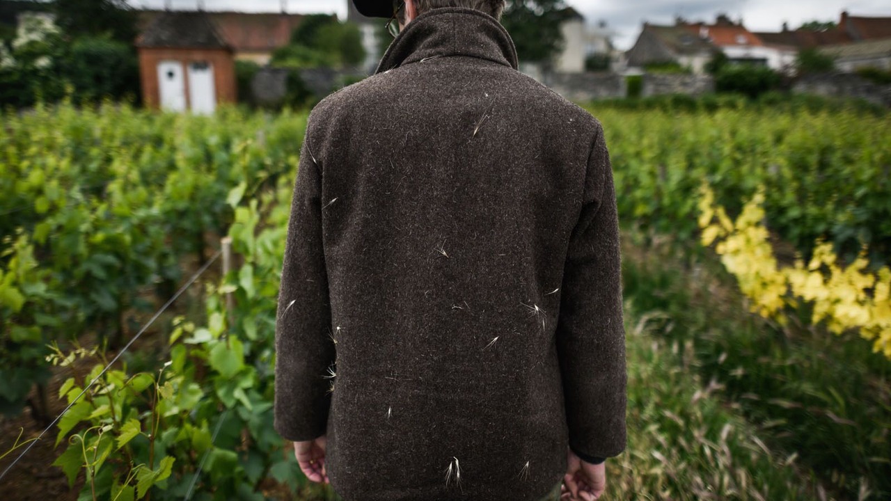 Photo of Bedroom in Chaudenay