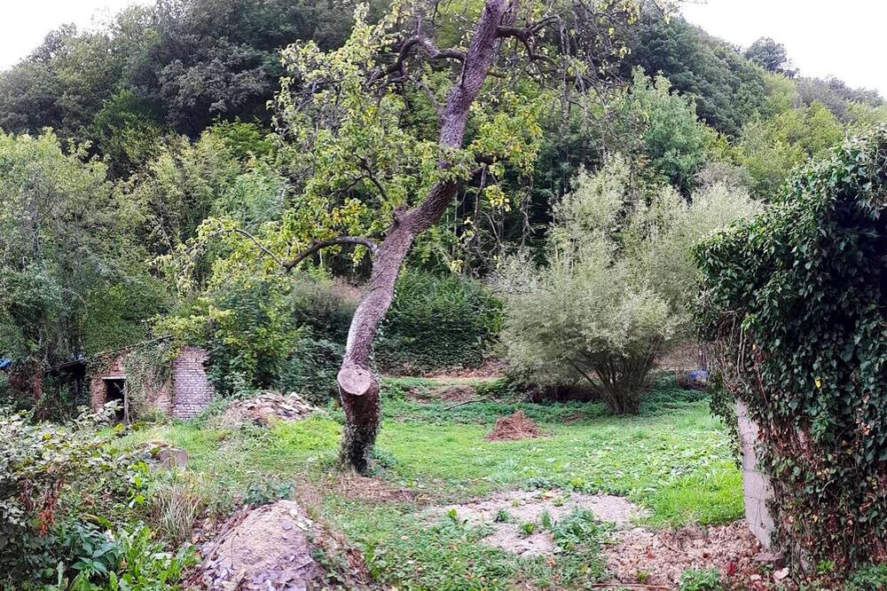 Photo of Outdoor in Landrichamps