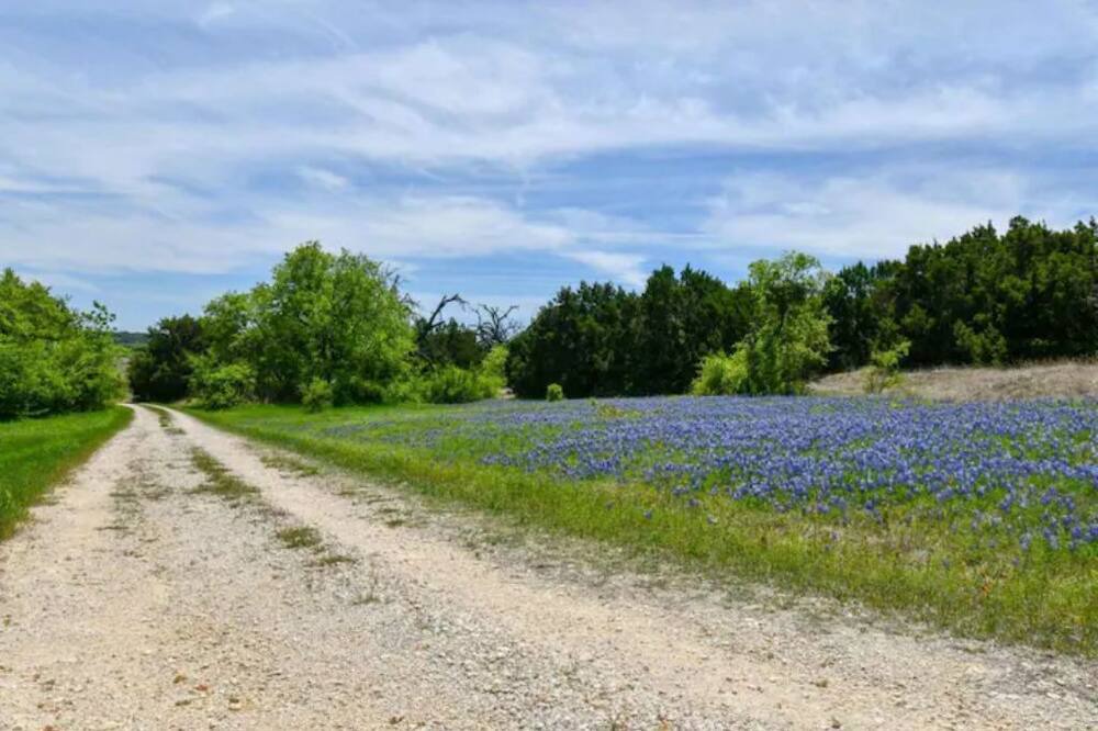 Photo of Others in Jonesboro