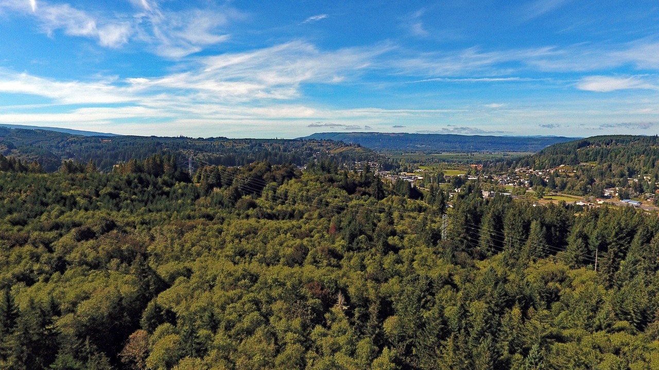 Photo of Others in Clatskanie