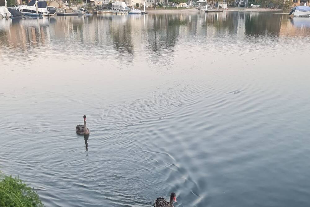 Photo of Others in Biggera Waters