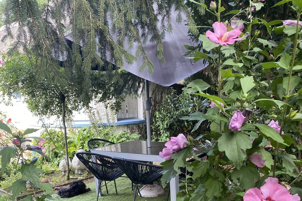 Photo of Outdoor in Sorigny