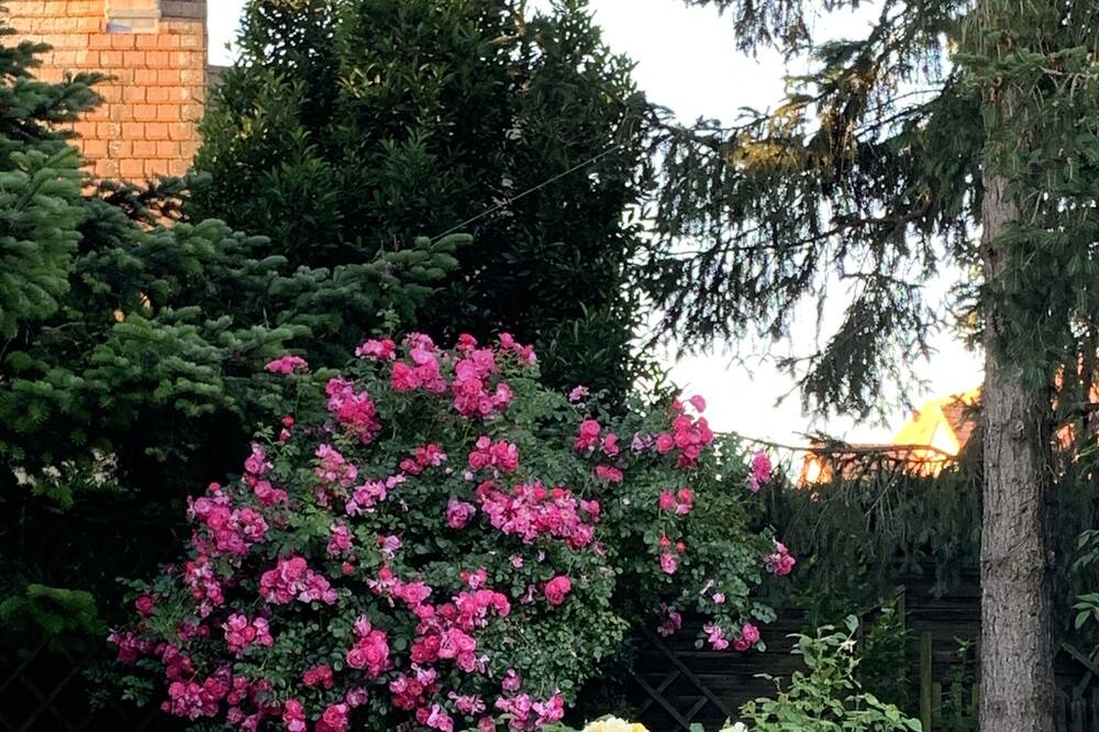 Photo of Outdoor in Sorigny