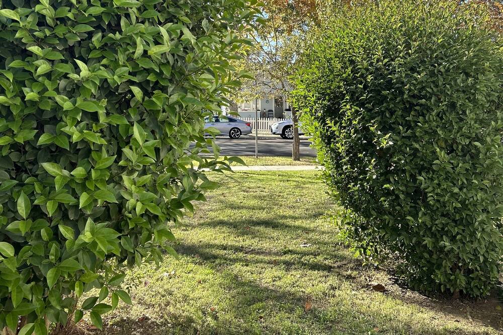 Photo of Others in Central Davis