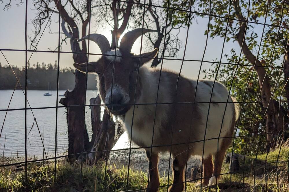 Photo of Others in Nordland