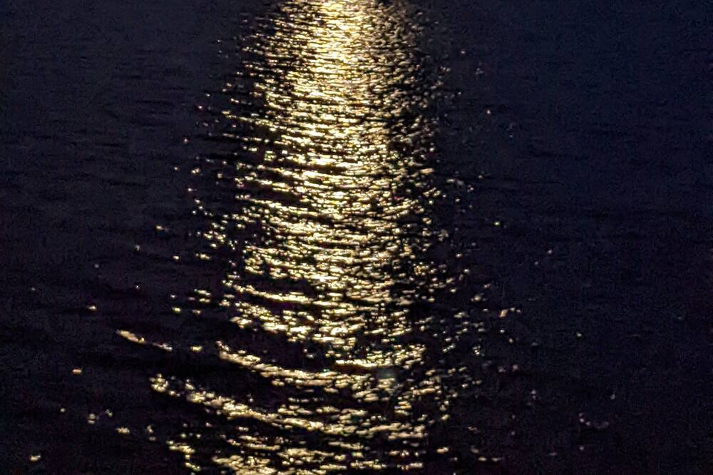 Photo of Others in Nordland