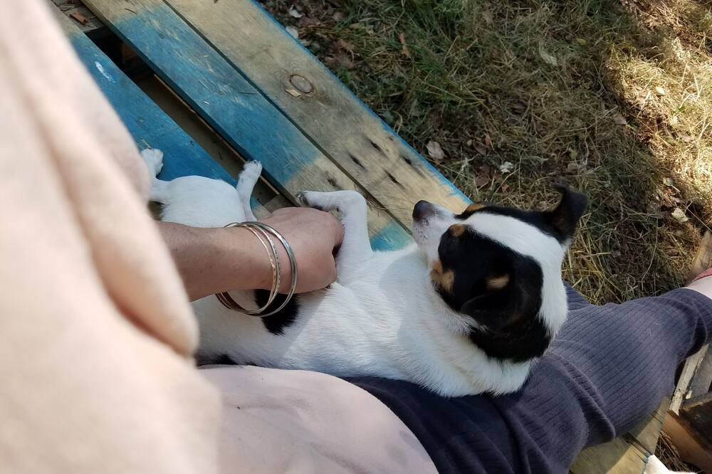 Photo of Others in Nordland