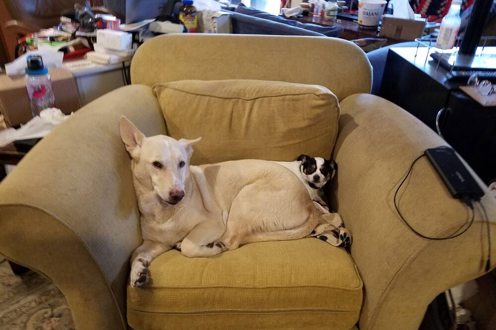 Photo of Others in Nordland