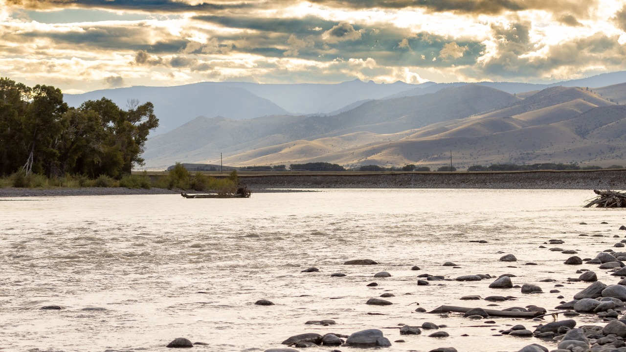 Photo of Others in Livingston