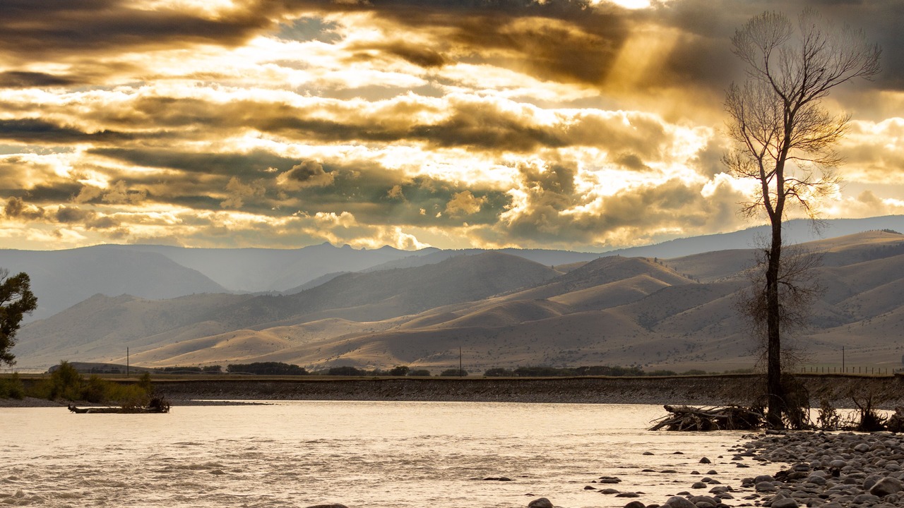 Photo of Others in Livingston