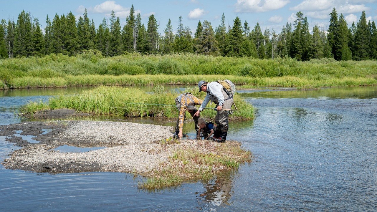 Photo of Others in Livingston