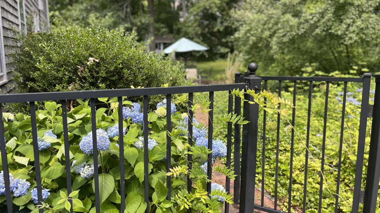 Photo of Outdoor in Sandwich