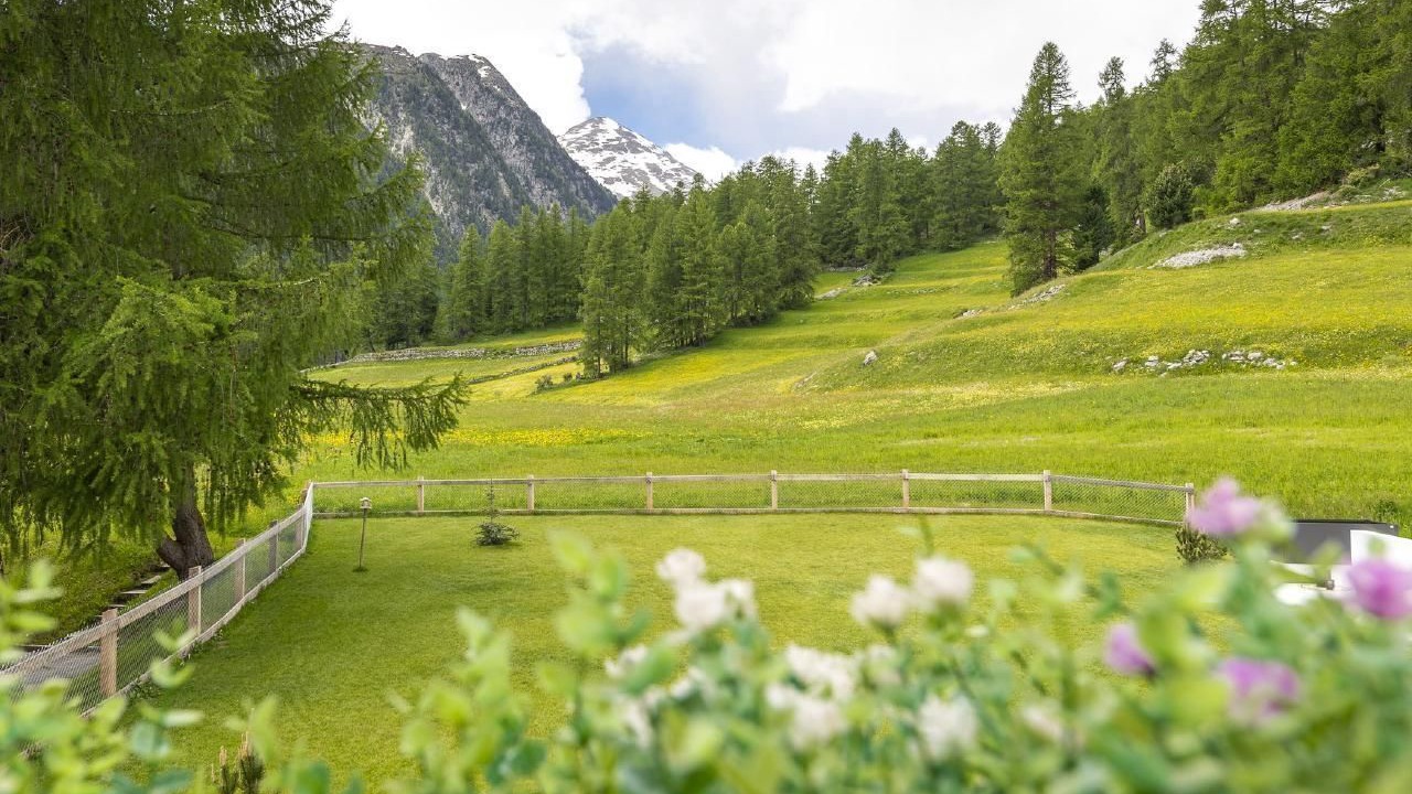Photo of Outdoor in Bever