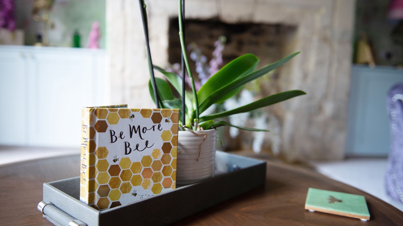 Photo of Others in Bath