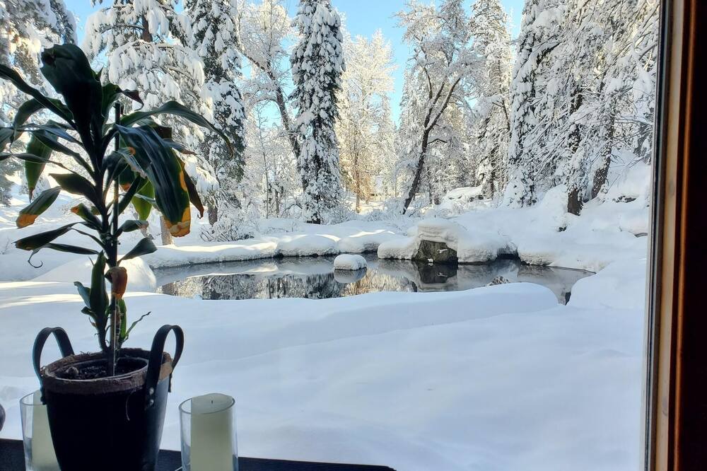 Photo of Bedroom in Tahoe National Forest