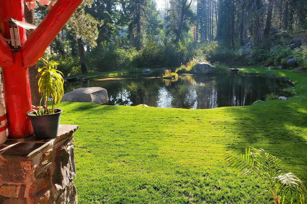 Photo of Outdoor in Tahoe National Forest