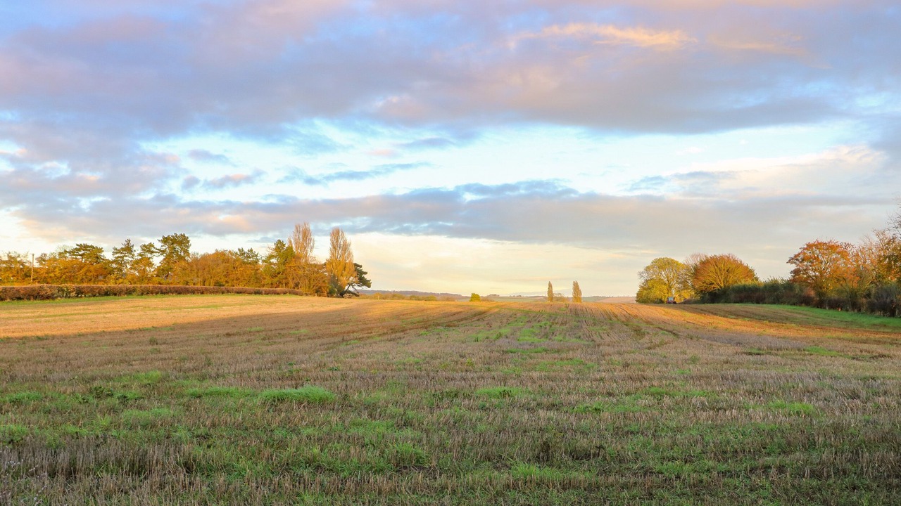 Photo of Others in Fangfoss