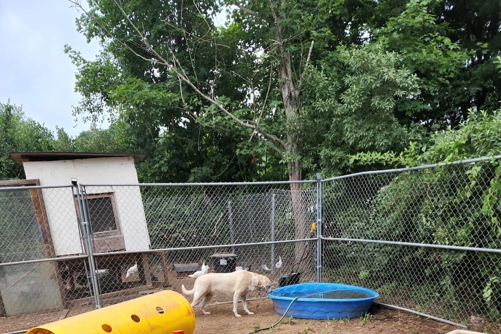 Photo of Others in South Willington