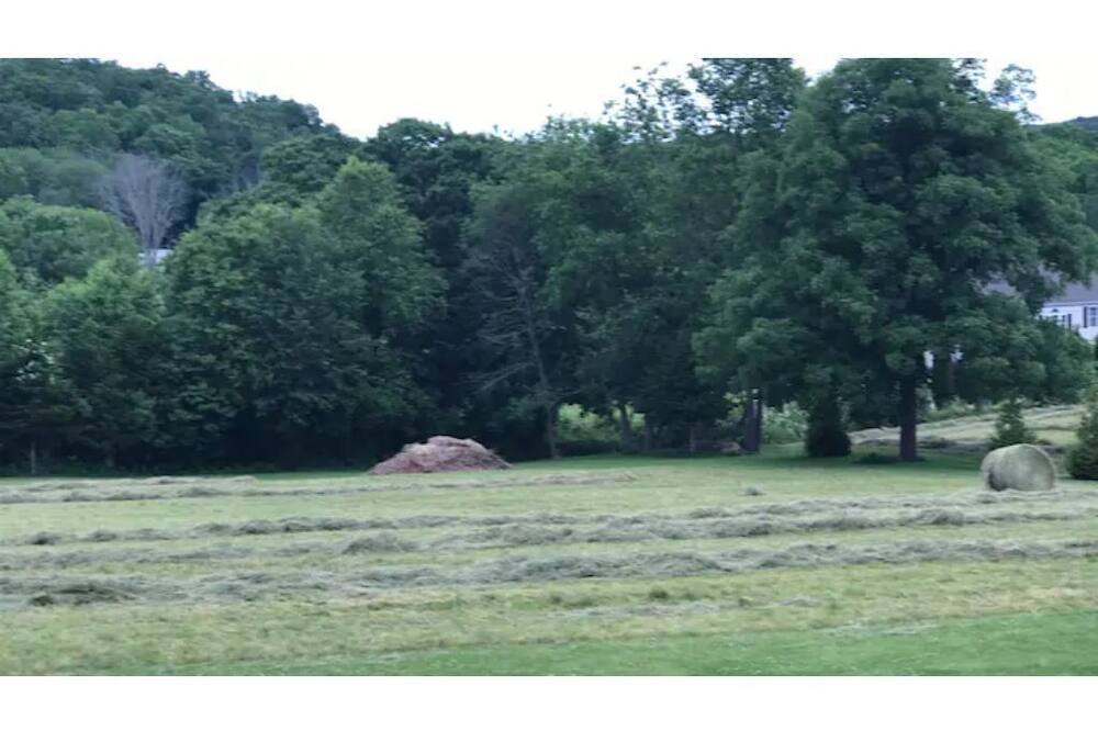 Photo of Others in Guilford