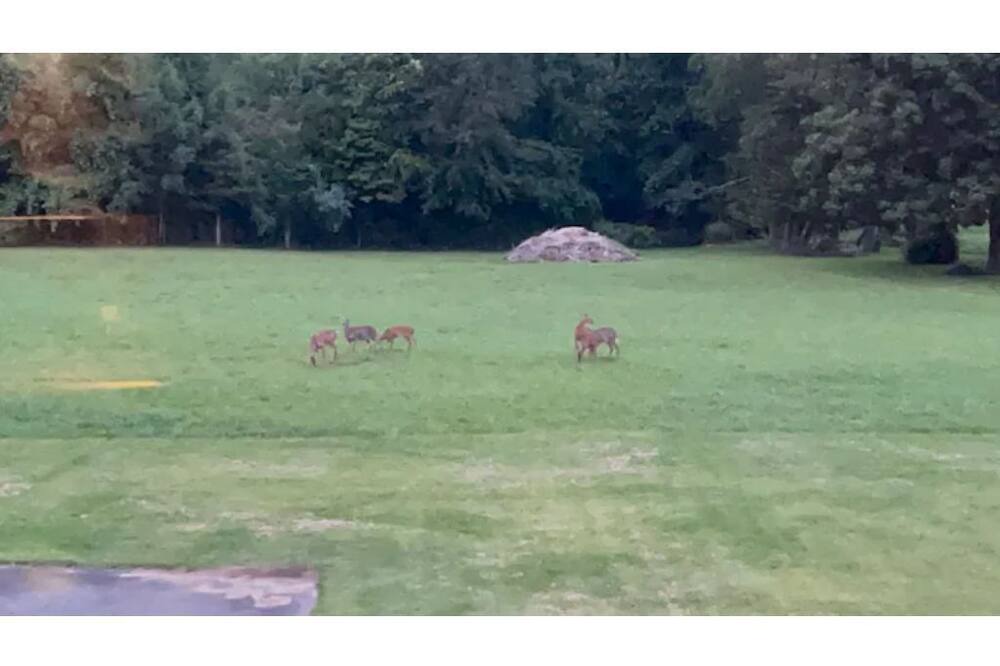 Photo of Others in Guilford