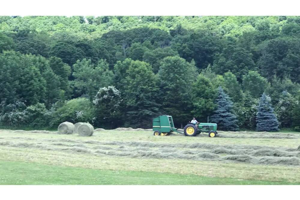 Photo of Others in Guilford