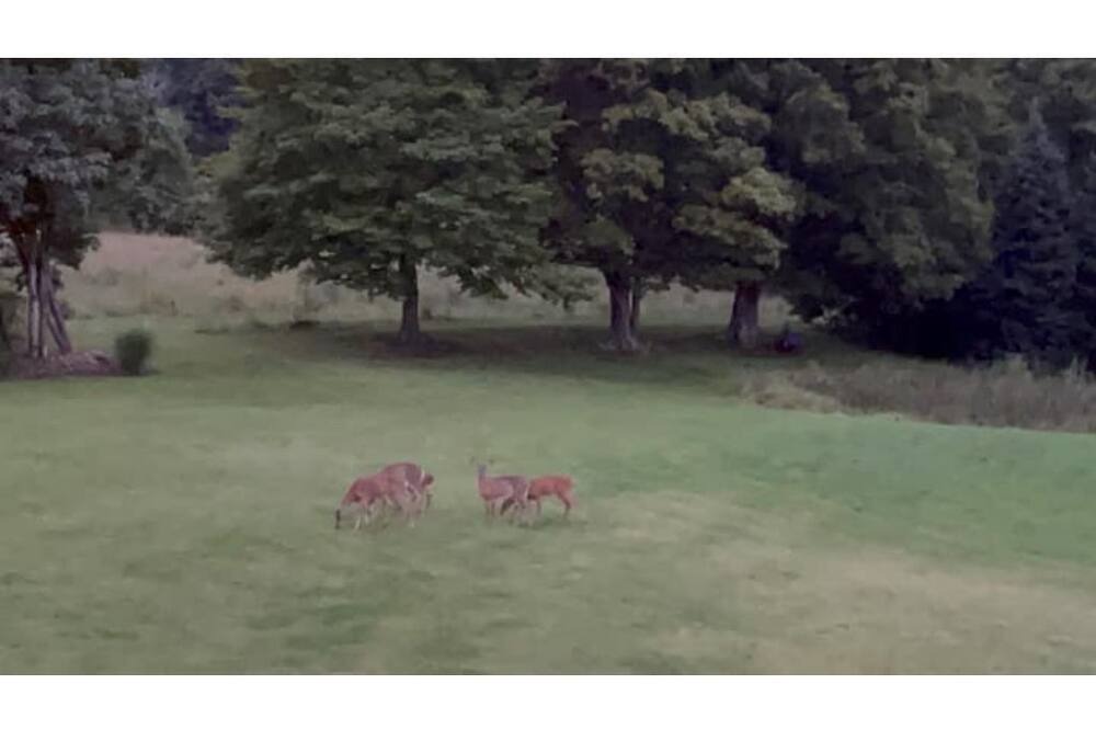 Photo of Others in Guilford