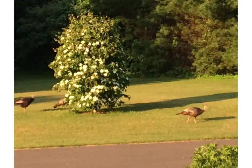 Photo of Others in Guilford