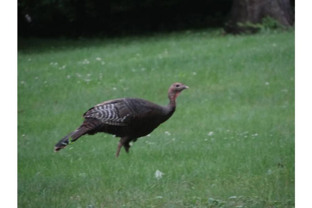 Photo of Others in Guilford