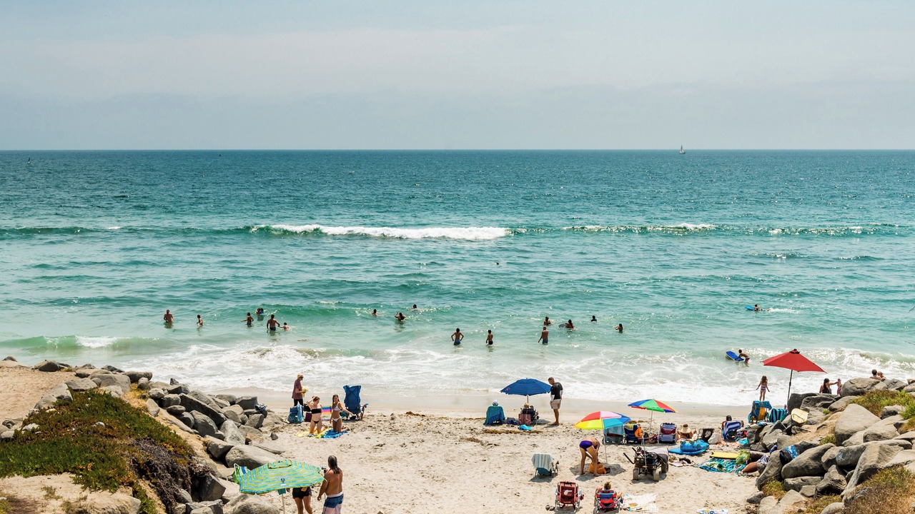 Photo of Others in Oceanside