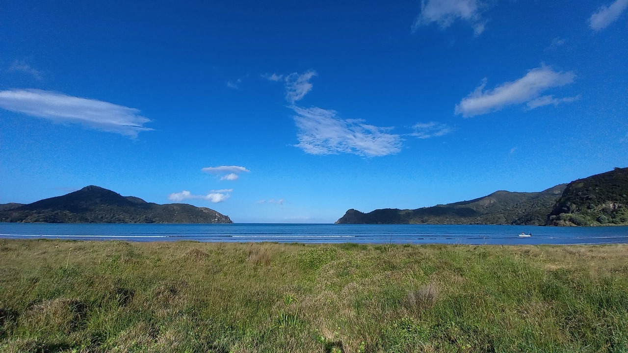Photo of Outdoor in Kennedy Bay