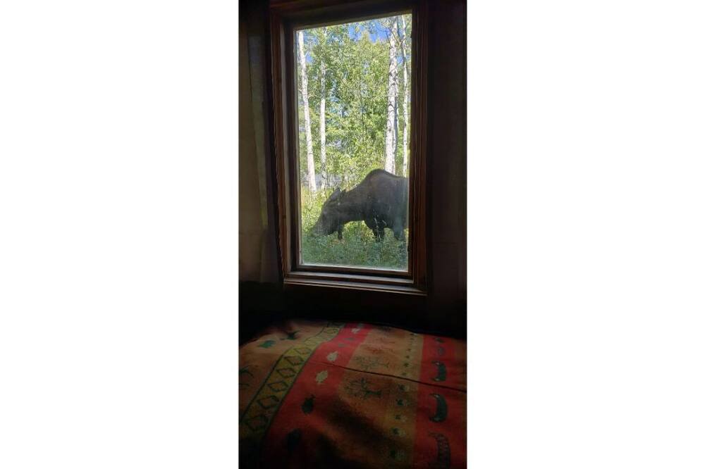 Photo of Others in Moose Wilson Road