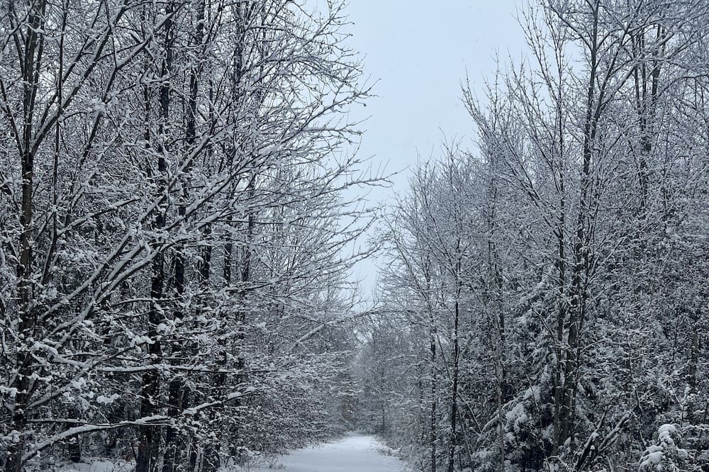 Photo of Others in Bromont