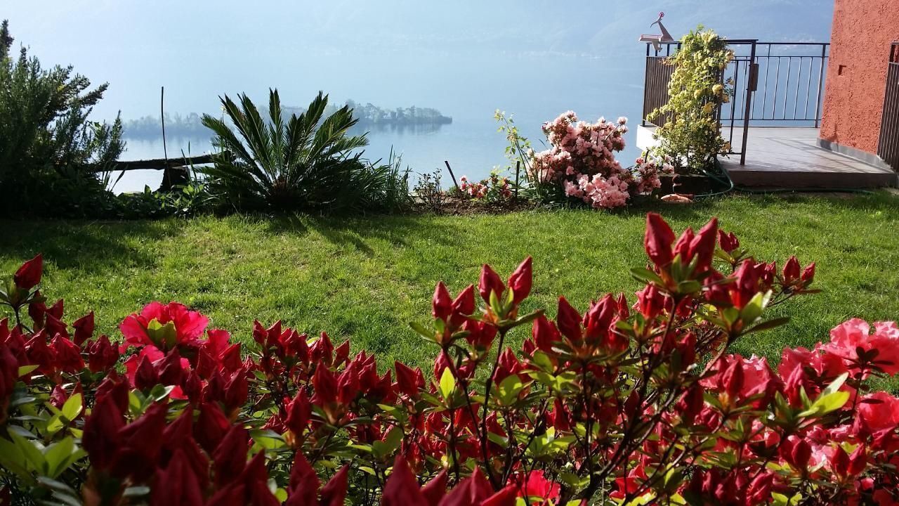 Photo of Outdoor in Porto Ronco